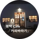 커피바라기 이미지