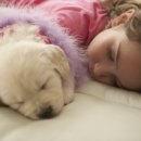 고려동물병원 미용실 이미지