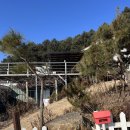 사랑나무민박 이미지