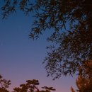 디자인８９０ 디자인정글
