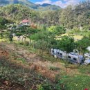 하늘농원 옆 이미지