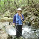 곡성-115 이미지