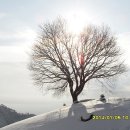 하늘솔황토민박 이미지