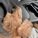 버스정류장_전력거래소 | 전라남도 나주 _ 나주샐러드카페, 나주 샐러드정기배송, 나주 애견동반카페 - ' 베스트샐러 '