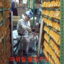 (주)파워엔지니어링 전자신문