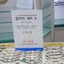 갤러리안경 모라점 | [부산사상안경점]여름 휴가는 선글라스부터! _ 갤러리 안경 모라점