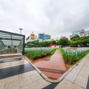청계천박물관 Daum카페
