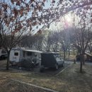 양평해장국인동점 | [333번째] 구미캠핑장