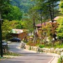 옥성자연휴양림 이미지