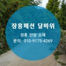 장흥로하스펜션