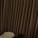 오성목장 1 이미지