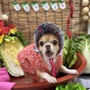 보고유치원 이미지