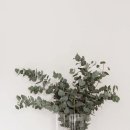우빈디자인 네이버블로그