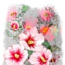 보태니컬 일러스트 이미지