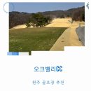 원주 오크밸리cc 오크 메이플 코스 라운딩 후기 완벽한 관리 상태