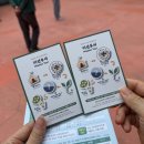보성 대한 다원 녹차밭 | 2026 보성 다향 대축제 방문 후기