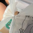 냥냥타코 이미지