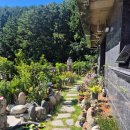 장복스테이2 이미지