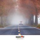 죽동마을 이미지