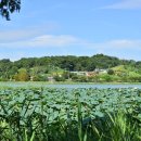 하늘호수2 이미지