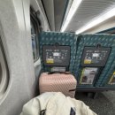 No.1(넘버원) 건식마켓 | Day 1 [Sydney] - oh ! sydney !!｜싱글오 써리힐즈 패디스마켓 넘버원마라탕 yha시드니센트럴