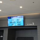 리듬 오브 코리아 | [20250817] 뮤지컬 멤피스 충무아트센터 대극장 이창섭 손승연 커튼콜위크