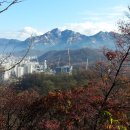 우면산6-12 이미지