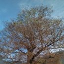 이동면 화계 이미지