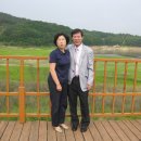 갑천초교 이미지