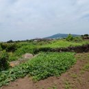 상모리-8 이미지