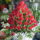 미림화원 이미지