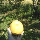 삼원농장 이미지