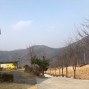 팬션 패트로누스 네이버블로그
