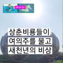 상춘농장 이미지