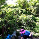 임걸령옹달샘 이미지