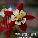 92세 할머니 인생 조언 이미지