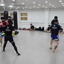 동양킥복싱MMA 이미지