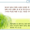 일일예화말씀묵상 2025년 2월 12일 (수) - 어느 승객의 경고 이미지