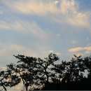 한양대학교에리카캠퍼스 이미지