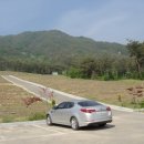 웅양공설공원묘지 이미지