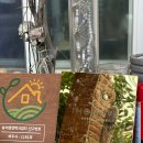 이호웨이브 | 이호웨이브 제주 게스트하우스 포틀럭 파티 재미와 감성 대박~!