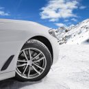 타이어보이 이미지