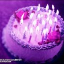 추카추카 이미지