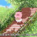 참밀 이미지