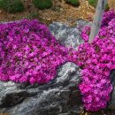 화봉리 화장실 이미지