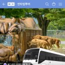 인타임투어 이미지