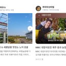 부영농장 | 동네한바퀴 가을 낭만 제주 열대과일 ‘홍용과’ 농장 부영농원(+위치 드래곤프루츠 구매방법)