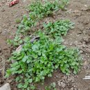 정희네 가게 이미지