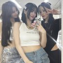 모모투어