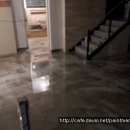 예동물병원 이미지